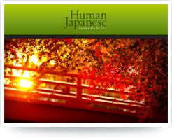 human japanese any good